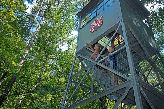 Educational State Forest in Auburn, NC