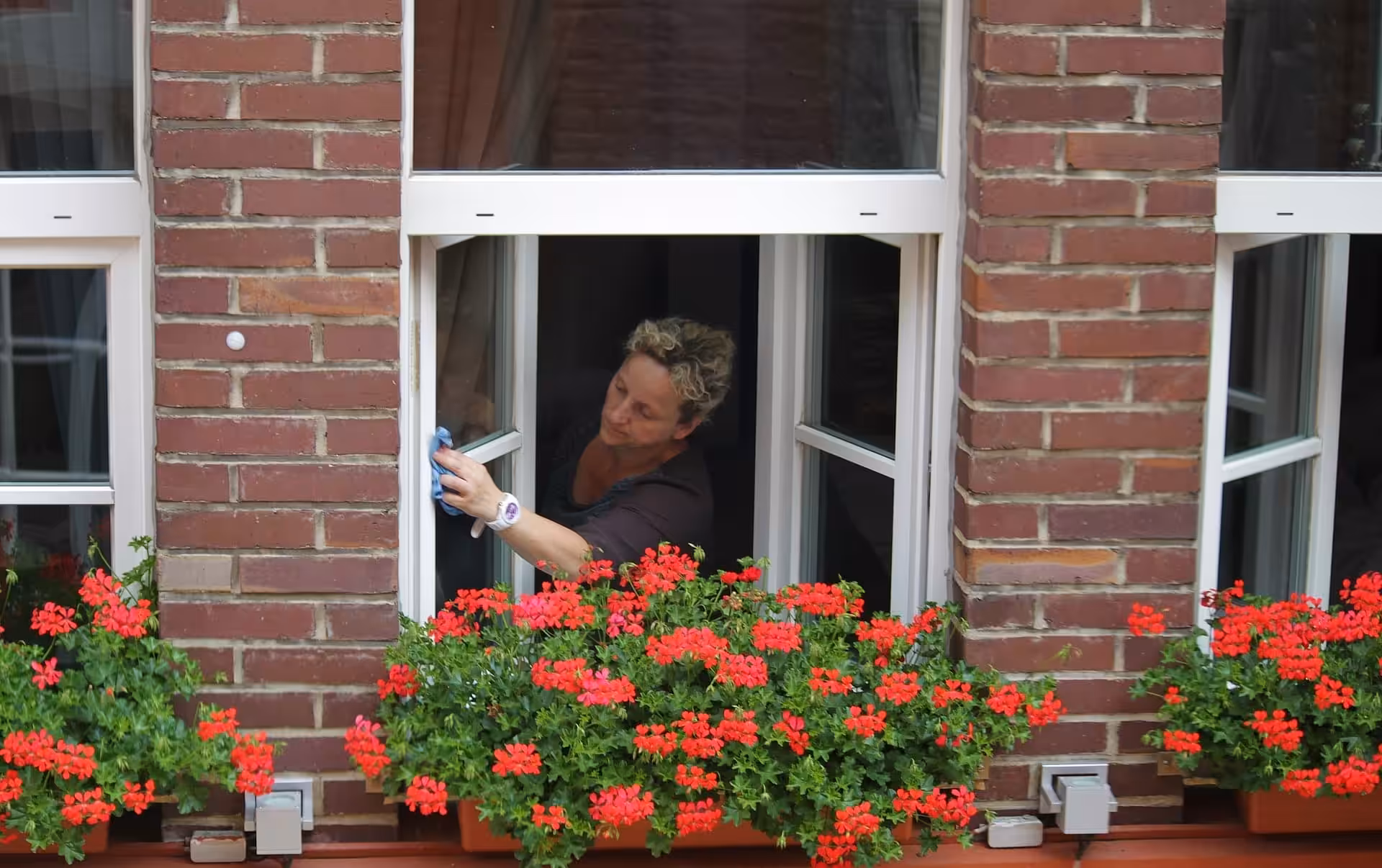 cleanwindows